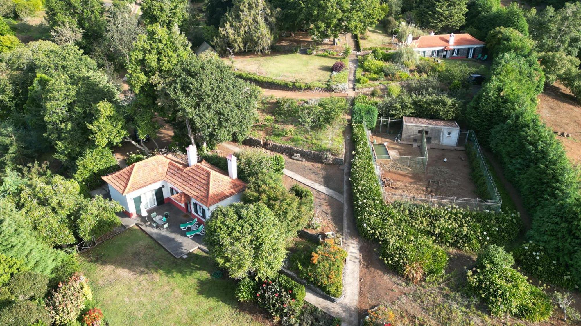 Quinta Das Faias Camacha  Zimmer foto